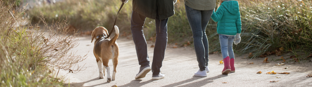 Where your dog is welcome