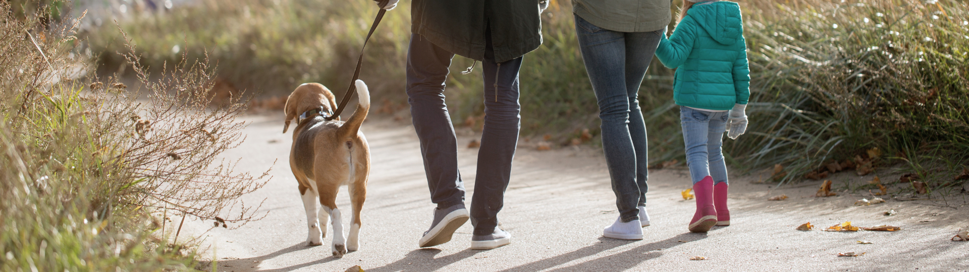 Walks near The Shinfield Arms